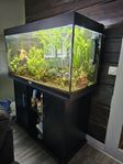 400l Juwel akvarium med tillbehör