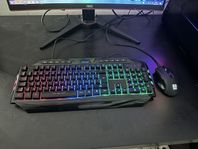 Gaming mus och tangentbord med RGB