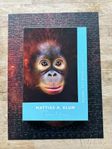 Mattis Klum pussel med orangutangunge 300 bitar 36x49 cm 