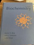 Biochemistry sixth edition 