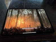 iPad Pro 11 inch M4 WiFi (2024) 256gb svart färg i nyskick