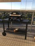 Weber elgrill 1000