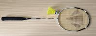 Carlton badmintonracket