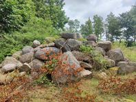 sten/trädgårds- eller fyllnadsmassor 
