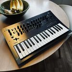 KORG Minilogue PG Limited Edition