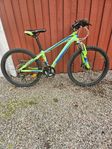 Mountainbike 24"