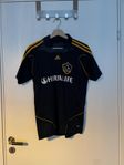 LA Galaxy 07/08 Bortakit