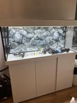 Juwel 240 liters akvarium , + Set av allt / Tillbehör