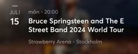 Bruce Springsteen Strawberry Arena 15 juli