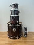 Tama Silverstar Dark Mocha Fade