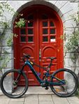 Electric Mountainbike Force GT-E Current 