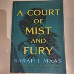 A court of Mist and Fury