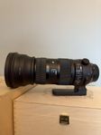 Sigma 150-600mm Sport Canon EF