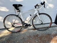 Specialized Roubaix Elite(C2)