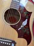 Gibson Dove 