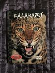 Kalaharis Leoparder - Natural Killers - DVD