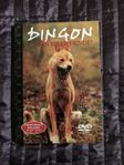 Dingon - vän eller fiende? - Natural Killers - DVD