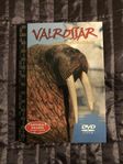 Valrossar - Arktis tandvandrare - Natural Killers - DVD