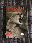 Puma - Amerikas Lejon - Natural Killers - DVD