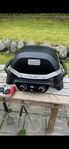 weber pulse 2000