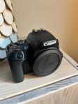 Canon EOS 250D + Sigma 18-35mm f/1.8 DC HSM ART