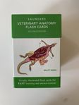 Veterinary Anatomy flash cards - för veterinörstudenter!