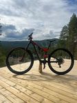 Specialized Stumpjumper FSR 