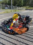 Gokart DD2 ROTAX 125 INTREPID