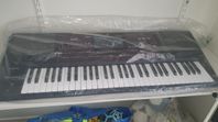 Korg Pa 700 Musikant och Electro Voice Zx5 och Zx4