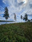 Drömtomt vid havet