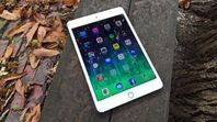 iPad mini 4 Wi-Fi i bra skick 