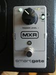 MXR smart gate. 