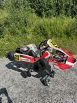 Gokart Birel Art Senior 125 