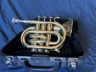 Pocket Trumpet JUPITER JPT 41 C