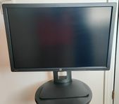 HP Z24i monitor skärm display