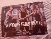 Nordic Wellness presentkort 