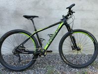 29'' MTB i kolfiber