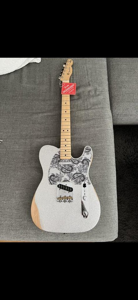 Fender Brad Paisley Silver Sp...