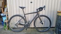 Specialized Diverge Comp Carbon 2019