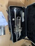 Trumpet CarolBrass Zorro SP