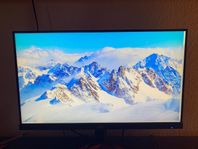 Acer 240hz 25tum