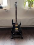 Ibanez RGIR20FE, EMG mickar, Iron Label