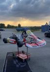 Go-cart Senior 125 Rotax Max Evo