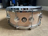 DW COLLECTORS 14x6,5 All Maple Shell