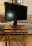 EIZO FlexScan S2431W