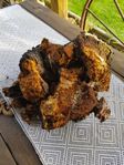 chaga/sprängticka