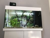 Akvarium Juwel Rio 125L med vit möbel 