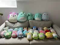 Squishmallows 