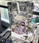 Mini Lady Dior bag