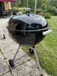 Weber klotgrill